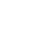 neurology icon